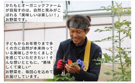 人参 8kg【期間限定】自然栽培の甘い 葉付き人参 京都府・亀岡産 かたもとオーガニックファームよりお届け 《訳あり サイズ不揃い にんじん 国産 京都産 栽培期間中農薬不使用 産地直送》 ※2025