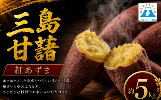 【予約受付中】三島甘藷 約 5kg 紅あずま 山北印 さつまいも さつま芋 産地直送 野菜 冬野菜 焼き芋 芋 やきいも ヤキイモ 人気 おやつ 上品な甘み 香り デザート秋 旬 生芋  静岡県 三島市 JAふじ伊豆