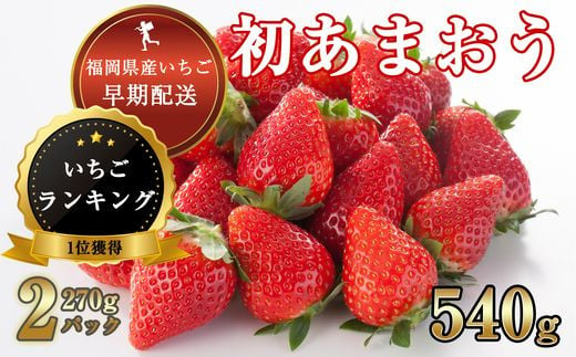 
【数量 100件 限定】福岡県産 初 あまおう 540g (270g平パック×2パック) TY001-1
