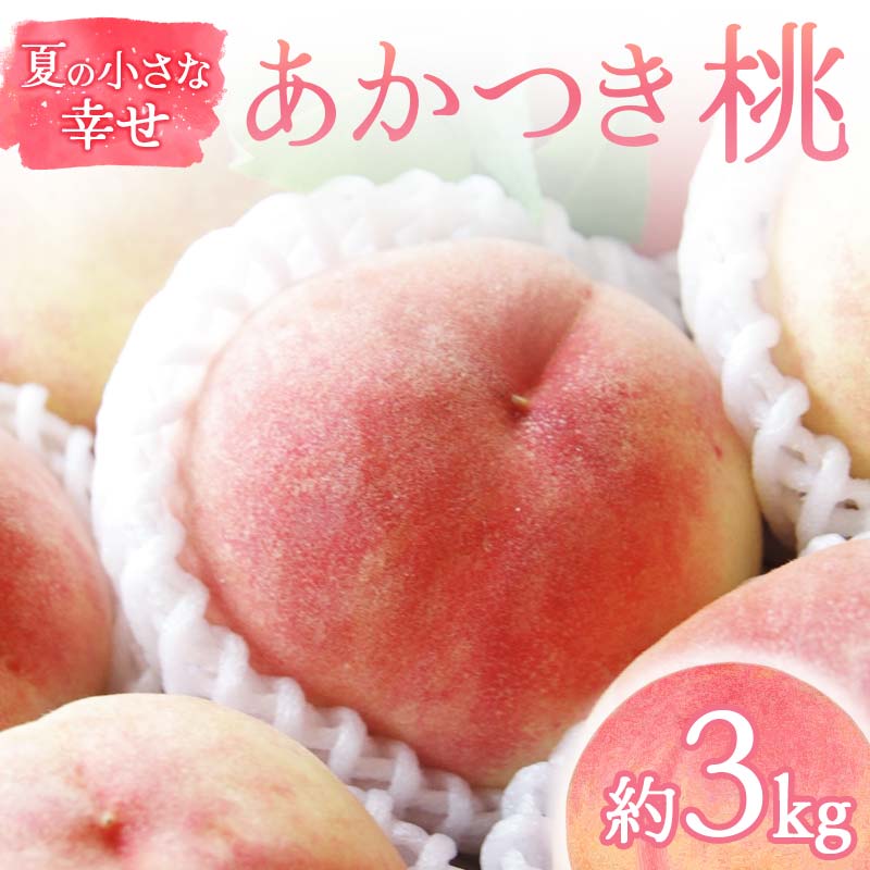 【ふるさと納税】【2026年出荷分先行予約】福島県産 あかつき 約3kg (9～12玉) 福島の桃農家ペシェエラ 夏の小さな幸せ 伊達の桃 桃 福島の桃農家ペシェエラフルーツ 果物 もも モモ momo F21C-067