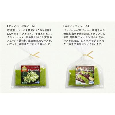 ふるさと納税 須崎市 葉にんにくぬた洋風2種(ジェノベーゼ、カルパッチョ) 土佐のご当地調味料 |  | 01