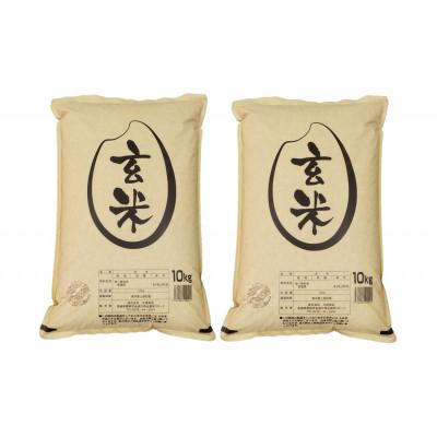 ふるさと納税 栗原市 【令和7年産】宮城栗原産 コシヒカリ 玄米20kg (10kg×2袋)