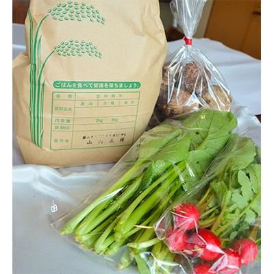 ふるさと納税 勝山市 季節の野菜5〜10種類とコシヒカリ2kg