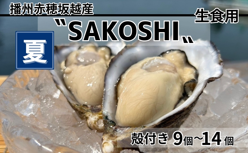 牡蠣 SAKOSHI 生食用 殻付き 9個～14個 牡蠣ナイフ付き [ 坂越かき プレミアム 生牡蠣 夏牡蠣 かき カキ 三倍体 ]