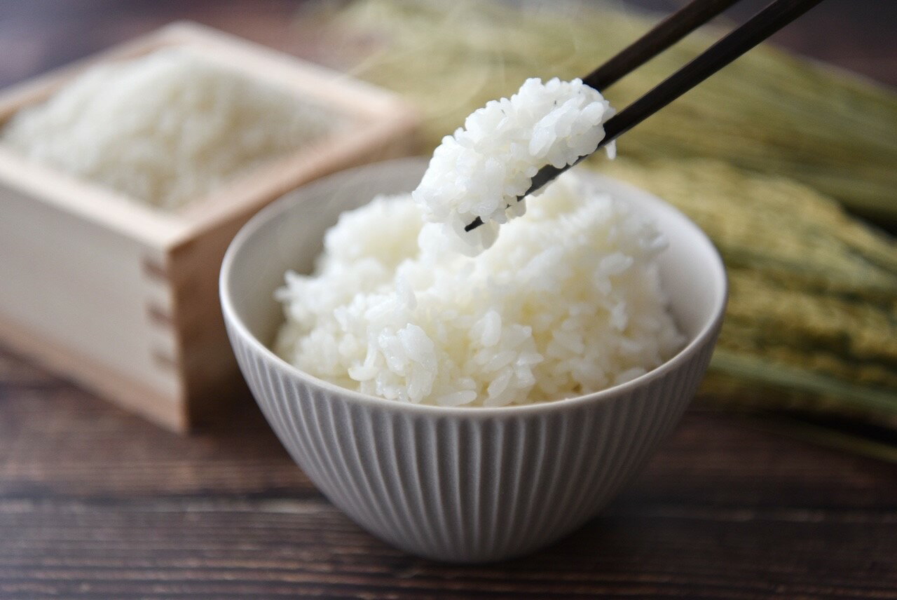 【ふるさと納税】令和7年産コシヒカリ精米5kg / 10kg｜ コシヒカリ ご飯 米 白米 千曲市 長野県 信州