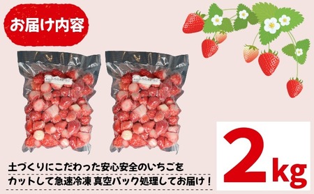 いちご 冷凍 とちおとめ やよいひめ 2kg いちご
