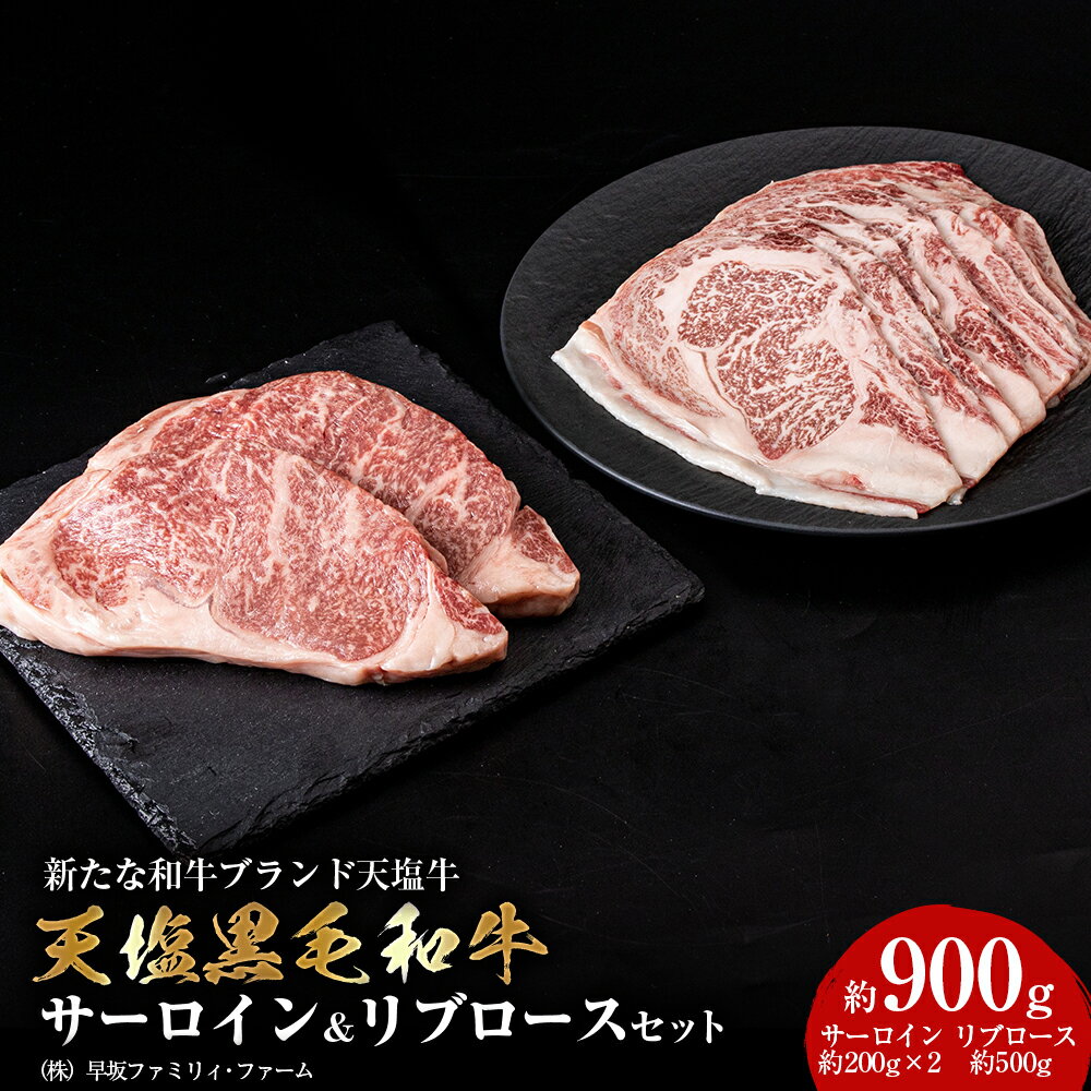 【ふるさと納税】黒毛和牛 天塩和牛 サーロイン & リブロース セット ＜早坂ファーム＞肉 焼肉 牛肉 ステーキ 北海道産 国産