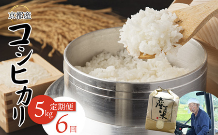 【定期便６回】 【令和7年度産】 コシヒカリ 5kg×6回 合計30kg