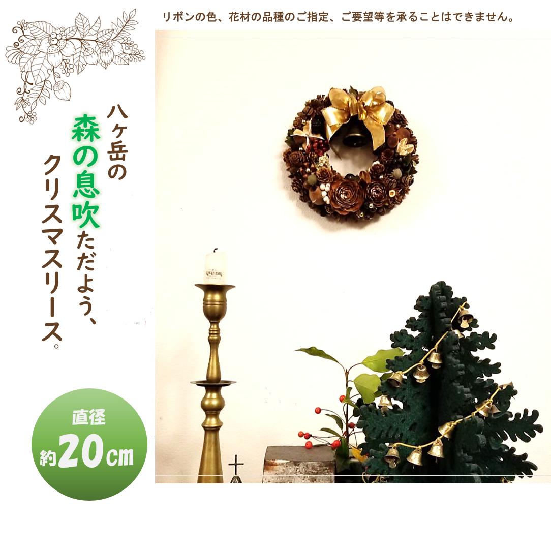 
森の木の実のクリスマスリース （約20cm）
