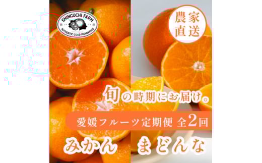 ＜発送月固定定期便＞愛媛フルーツ旬の柑橘 みかん・まどんな 各2kg＜E70-77＞全2回【4067784】