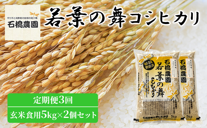 米 若葉の舞 コシヒカリ 玄米食用5kg×2個セット 定期便3回 こしひかり セット 定期便 お米 玄米 千葉 千葉県 低温保存