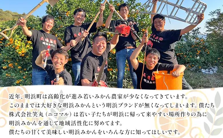 ＜天晴晩柑（河内晩柑）約10kg 愛媛県明浜産 ＞ 家庭用 果物 柑橘 みかん 和製 グレープフルーツ 食べて応援 特産品 愛媛県 西予市【常温】『2026年4月上旬～5月下旬迄に順次出荷予定』AAN