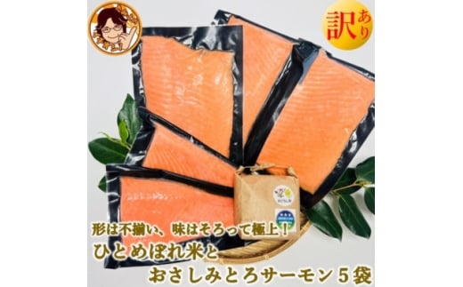 訳ありお刺身とろサーモン約200g×5袋&ひとめぼれ米2合のセット【1632985】