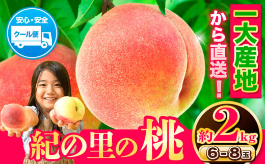 桃もも和歌山県産約2kg《2024物フルーツお取り寄せ桃 桃 桃 桃 年6月中旬-8月中旬頃出荷》---wfn_cwlocal37_q68_23_12000_2kg---｜紀の里の桃6～8玉入り旬の桃