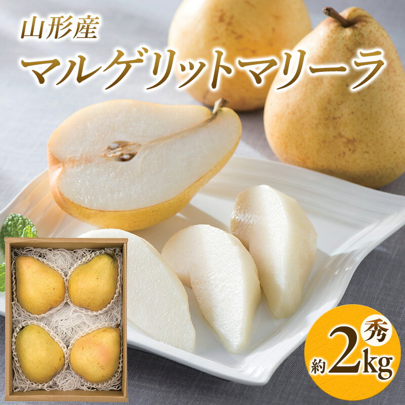 【ふるさと納税】山形県産 マルゲリットマリーラ 秀 約2kg(4～6個) FY26-042