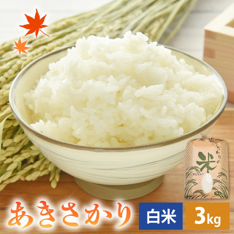 【ふるさと納税】【先行予約】 【新米】 令和7年産 あきさかり 3kg 福井県産 コシヒカリ系統品種【白米】【お米 アキサカリ 3キロ】 【2025年11月より順次発送】 [e30-a091]