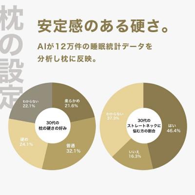 ふるさと納税 我孫子市 30代向けの枕 THE PILLOW Preset 18 30s |  | 01
