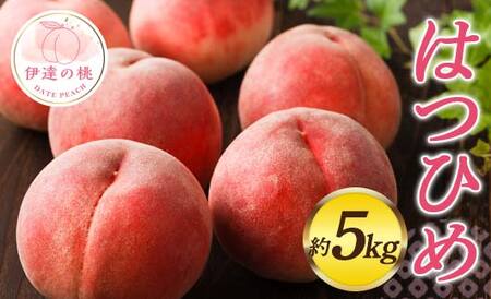 【2026年出荷分先行予約】福島県産 はつひめ 約5kg (13～18玉) 佐藤俊博 福島県オリジナル品種 伊達の桃 桃 フルーツ 果物 もも モモ momo  F20C-551