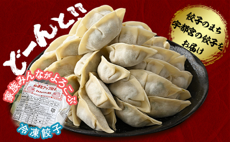 【定期便12回】宇都宮餃子 運気アップ餃子 那須御養鶏の餃子（90個×12回　合計1,080個）【配送不可地域：離島】