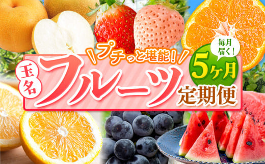 
【 定期便 5回 】 プチっと 堪能 ！ 人気 フルーツ （ いちご 白いちご みかん 不知火 デコポン スイカ ぶどう 梨 柿 果物 ）
