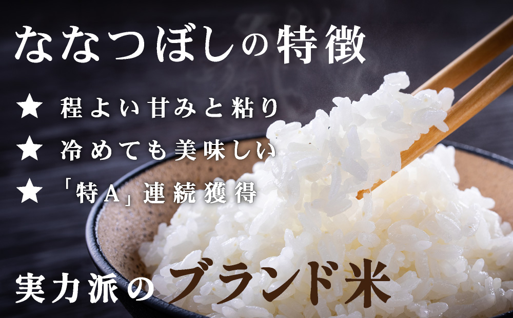 ＜3回定期便＞令和8年産 上志文産メープル米「ななつぼし」5kg｜新米 お米 精米 ご飯 ごはん 北海道 岩見沢市【a121-037】