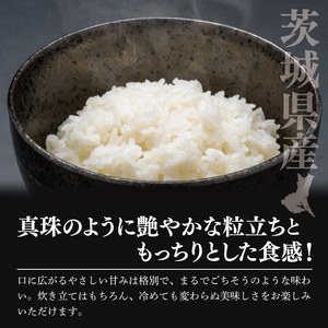 【数量限定】令和7年茨城県産ミルキークイーン5kg(NU-3)