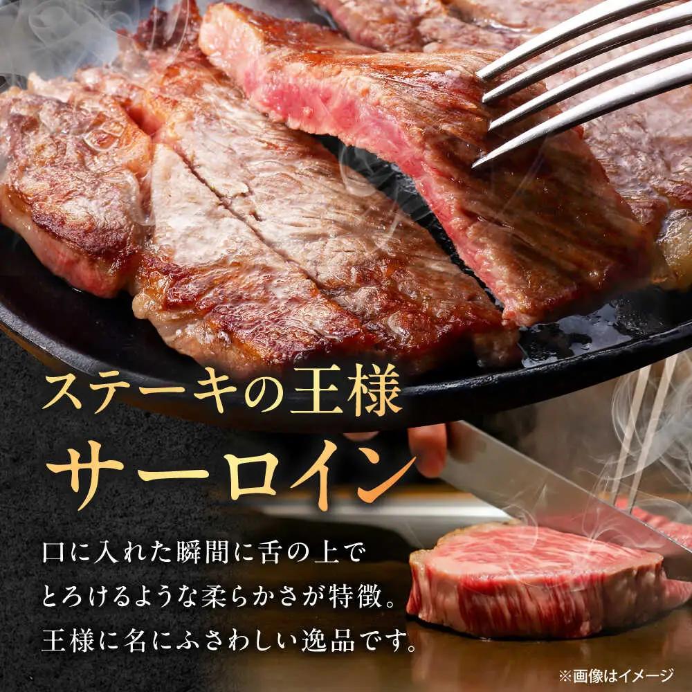 シャトーブリアン・サーロインステーキセット 計900g 佐賀牛 ステーキ [UEM063]