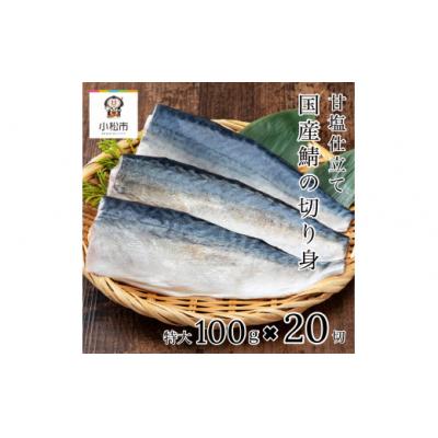 ふるさと納税 小松市 国産鯖の切り身 甘塩仕立て 20切れセット 小分け 冷凍サバ 骨取りさば