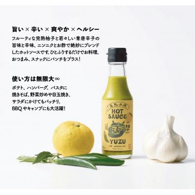 ふるさと納税 宗像市 旨味爆発!柚子香る国産クラフトホットソース「青鬼の涙」3本セット【フミ子印】_HA1677 |  | 03