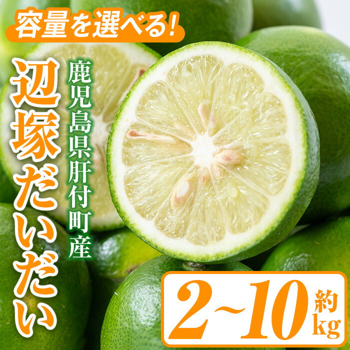 【ふるさと納税】＜先行受付受付中！2025年9月中旬以降発送＞辺塚だいだい 青果 (2kg or 4kg or 10kg) 鹿児島 国産 橙 だいだい 柑橘 かんきつ 果物 フルーツ 贈答 ギフト【NPO法人 陸の宝島・岸良】