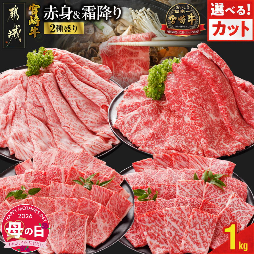 【ふるさと納税】【母の日】【カットが選べる！】宮崎牛2種セット500g×2パック≪5月7日〜10日お届け≫ - 宮崎牛 黒毛和牛 焼肉用/スライス 肩ロース ロース ウデ モモ 牛肉 ギフト プレゼント 贈答用 送料無料 SKU-N203-MG【宮崎県都城市は2年連続ふるさと納税日本一！】
