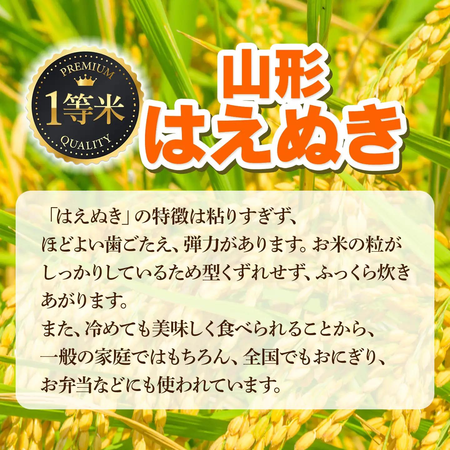 【令和7年産】はえぬき 精米 10kg (10kg×1袋)　山形県鶴岡市　庄内丸山農場　| 10キロ 米どころ 庄内米 ブランド米 米 コメ こめ 精米 ご飯 ごはん 美味しい お取り寄せ 農家直送 