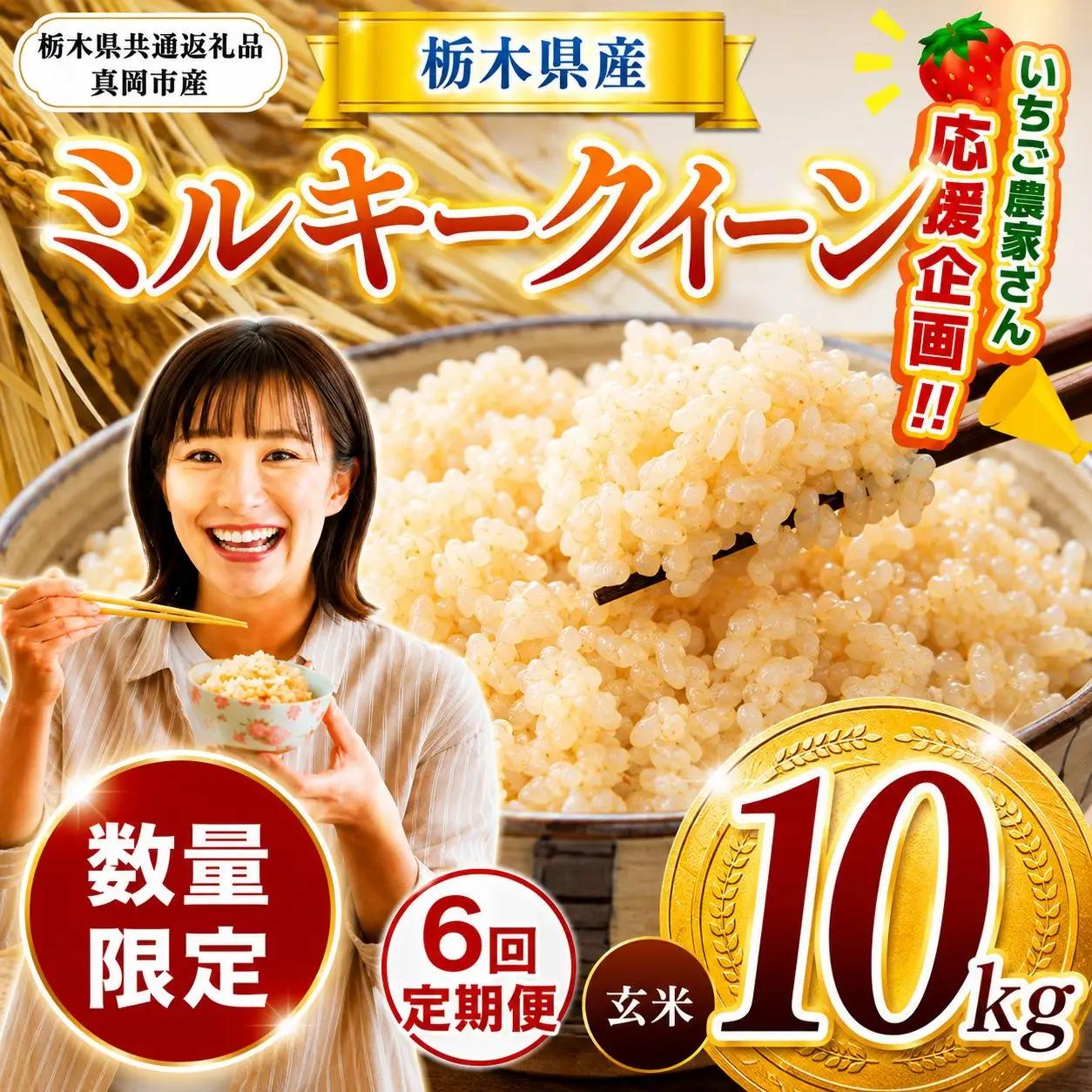 先行予約 【定期６回】令和8年度産 栃木県産 ミルキークイーン 10kg |【栃木県共通返礼品】