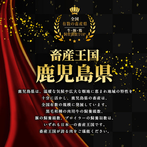 《訳あり》鹿児島県産 豚肉 切り落とし (計3kg・500g×6P)  小分け 冷凍 国産豚肉 鹿児島 ポーク 肉 個包装 人気 ランキング【スターゼン】starzen-1362-06 ｜ 豚肉 ぶた
