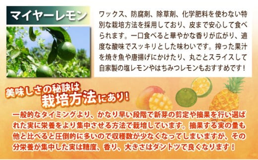 《年3回発送》パイナップル好きにおすすめ！某TV番組で紹介された希少なホワイトココとピーチパイン、マイヤーレモンの定期便 TF-066-t03