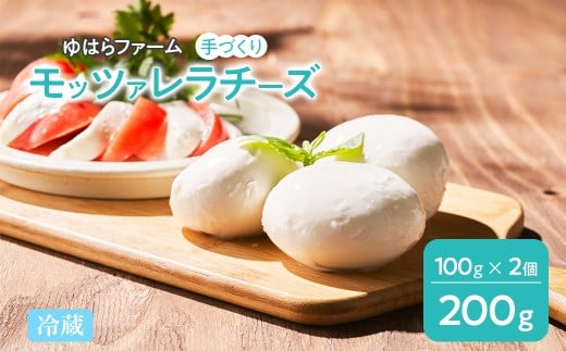 手作りモッツァレラチーズ | チーズ モツァレラチーズ モッツァレラ チーズ 乳製品 サラダ 料理 おつまみ ピザ パスタ 冷蔵 福島 南相馬市産
