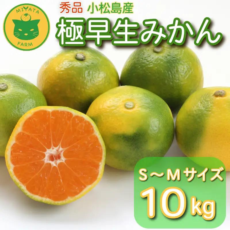 【2026年10月発送】 みかん 秀品 極早生みかん 10kg