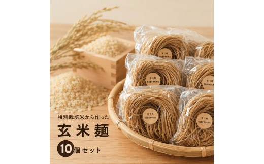 
                  特別栽培米から作った玄米麵　10個セット | 麵 めん 米粉 グルメ 奈良県 [№5990-0932]
                