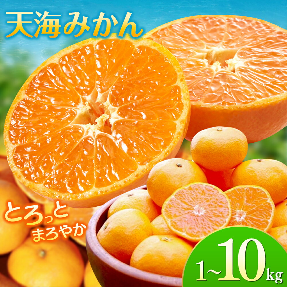 【ふるさと納税】 みかん 天海みかん 完熟宮川早生 1kg 3kg 5kg 10kg ※2025年12月から順次発送 / みかん 和歌山 ミカン フルーツ 果物 早生みかん 柑橘 田辺市 甘い 農家直送 産地直送 送料無料 旬 おすすめ