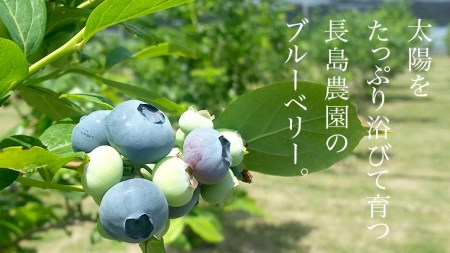 ブルーベリージャム 3本 [AK006sa]
