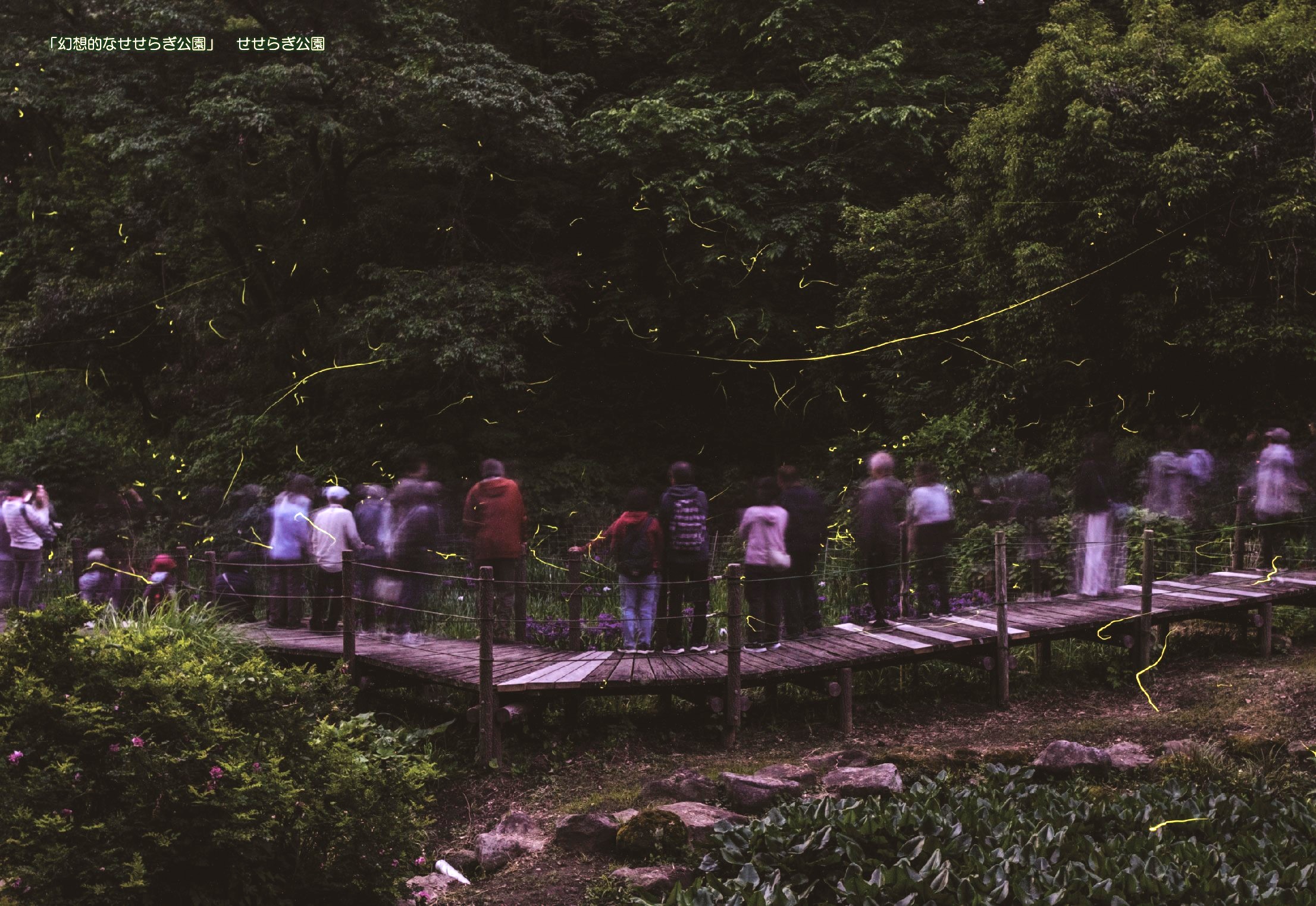 No.080 にのみや観光カレンダー