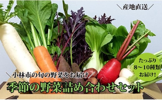 【自然が育む新鮮野菜】こばやし季節の野菜詰め合わせセット（野菜 詰め合わせ 産地直送 宮崎県 小林市）