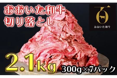 ＜生産者支援品＞おおいた和牛切り落とし2.1kg（300g×7p） ※真空パック 【匠牧場】＜102-003_5＞