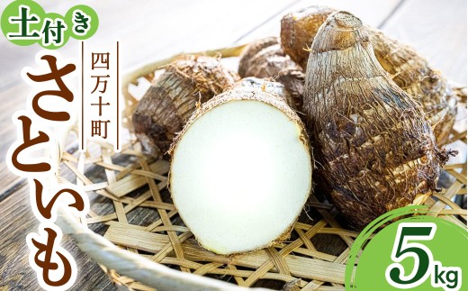 【四万十町産】 土付き さといも 5.0kg ／Fiz-A06 農産物 新鮮 里芋 里いも 野菜
