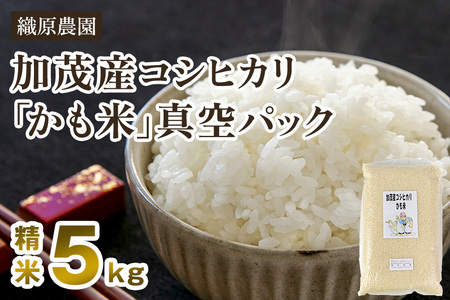 【令和5年産米】【無農薬・無化学肥料】新潟産コシヒカリ「かも米」精米5kg 白米真空パック 従来品種コシヒカリ 加茂市 織原農園