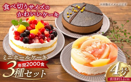 フルーツ / チョコムース / レアチーズ ホールケーキ 3種 冷凍 糸島市 / 五洋食品産業 [AQD017] お祝い バースデー クリスマス 誕生日ケーキ 冷凍ケーキ 詰め合わせ