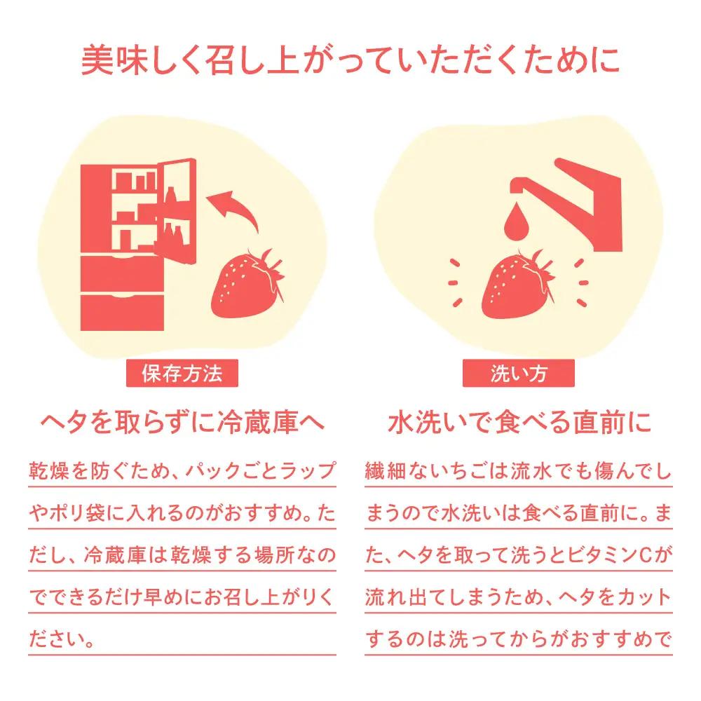 先行予約いちご あまおう 合計約800g 約400g×2パック 【2027年1月下旬～2月順次発送】 あまおう