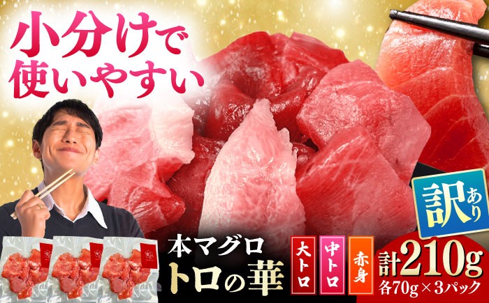 
            訳あり！対馬産 本マグロ 切り落とし 210g（3パック） ≪対馬市≫【桐谷商店】 トロの華 冷凍配送 新鮮 海鮮 小分け まぐろ マグロ[WAQ015]
          