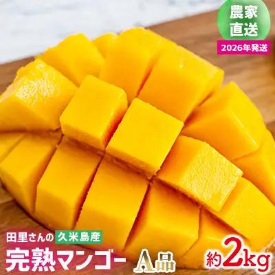 マンゴー【2026年発送】農家直送！田里さんの久米島産完熟マンゴー A品 約2kg フルーツ 果物