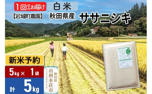 《令和7年産 新米予約》【白米】ササニシキ 5kg(5kg×1袋) 秋田県 由利本荘市産 令和7年産 真空パック 岩城町農園